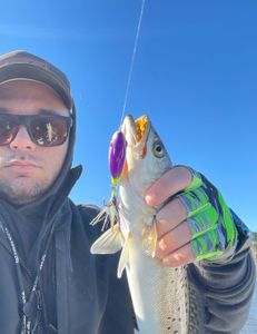 Fish-Species