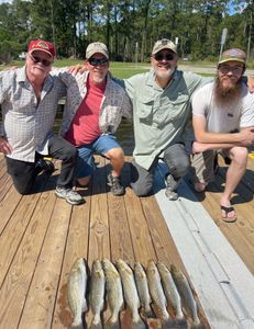 Fish-Species