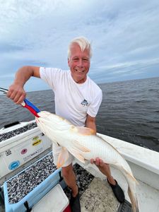 Fish-Species