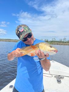The Shimmer of a redfish brings smiles. 
