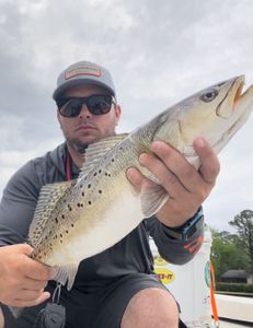 Nothing but blue skies and tight lines today.