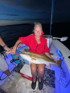 Angler holding a 26-inch fish in North Carolina