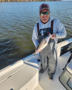 Two people fishing for a striped bass in Greenville