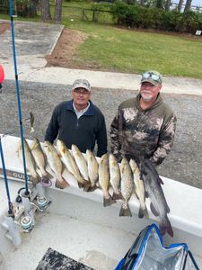 Speckled Trout by Sunrise