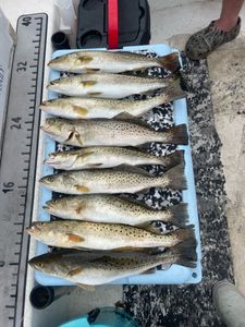 Casting Lines in the Sound