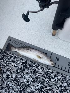 Clients were on them today 