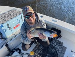 A person fishing in Greenville