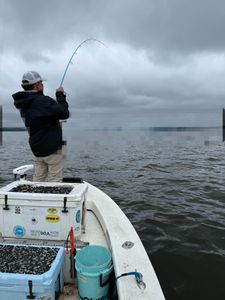 One person fishing in NC