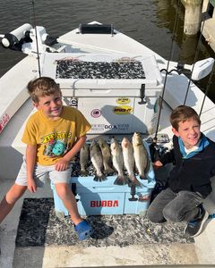 Redfish and Spotted Weakfish caught in Greenville