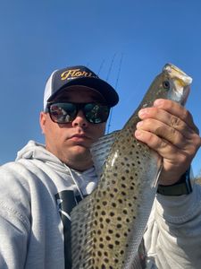 Fish-Species