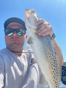 Fish-Species