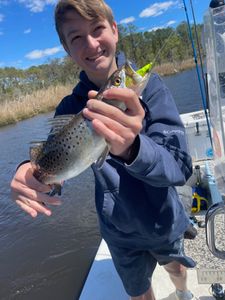 Fish-Species