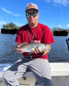 Spotted Weakfish caught in Greenville