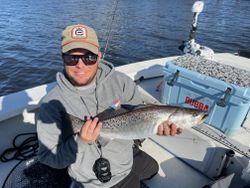Spotted weakfish, 14 inches, caught fishing in NC