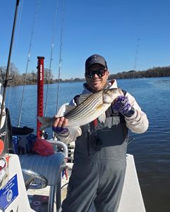 Striped bass caught while fishing in NC
