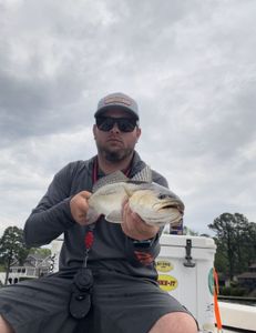 Fishing in NC with 1 fish
