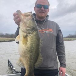 Expert Lake Fork fishing guides, Largemouth bass