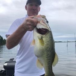 Largemouth bass, Lake Fork's treasure