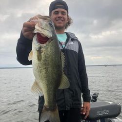 Unleash the bass fishing thrill in Texas Lakes!
