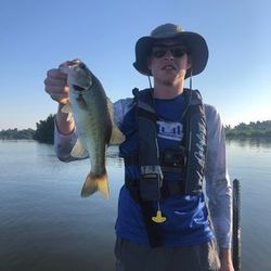 Master the art of bass fishing
