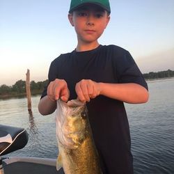 Guided bass fishing Trips available