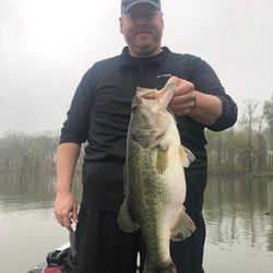 Largemouth bass await skilled anglers