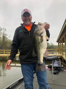 Fishing for a Florida Bass in Alba