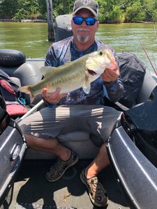 Largemouth bass caught fishing in TX