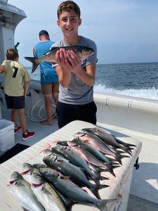 4 bluefish caught by a person fishing in Cape May
