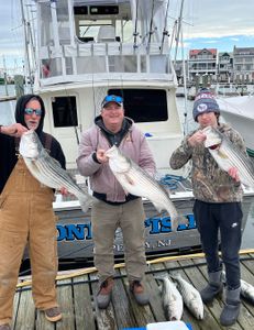 Striped Bass Delight In Cape May