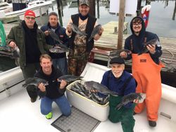 7 fish caught in Cape May while fishing