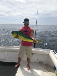 Mahi Mahi or Common Dolphinfish caught fishing in Cape May