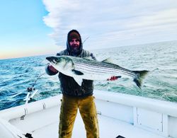 A majestic striped bass caught in Cape May