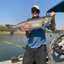 Chinook salmon caught in Olivehurst
