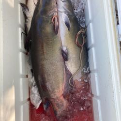 Fishing trip in CA