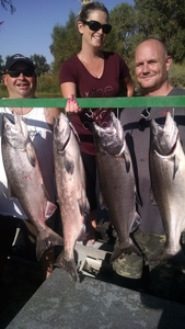 4 chinook salmon caught fishing in CA