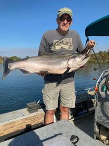 A fisherman holding a large rainbow trout in Olivehurst