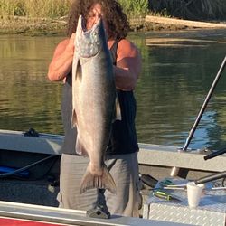 Pink Salmon caught while fishing in CA