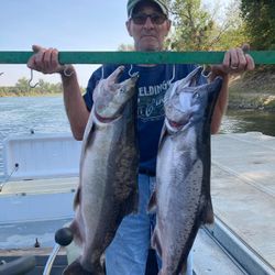 2 big freshwater fish caught by angler in Olivehurst
