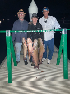 Two white catfish, 22 inches long, caught fishing in CA