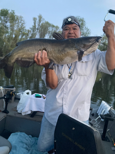 A 25-inch white catfish caught while fishing in Olivehurst