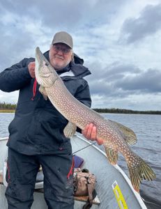 Northern Pike caught in Duluth while fishing