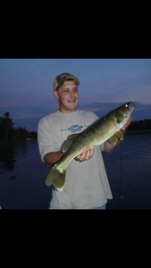 Pike-perch fish caught in Duluth