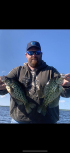 Two crappie fish caught while fishing in Minnesota
