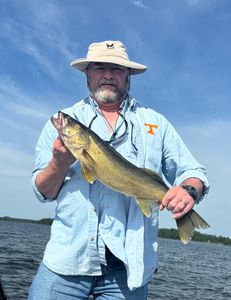 A walleye fish caught in Minnesota