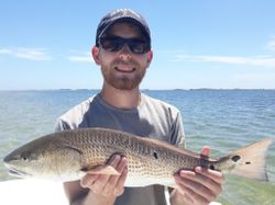 Redfish, 23 inches, caught in Corpus Christi