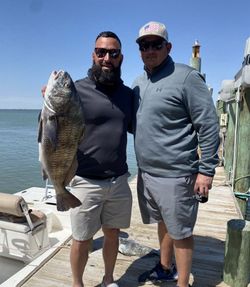 Black drum fish caught during fishing trip in Corpus Christi TX on boat dock