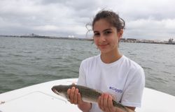 One person fishing in Corpus Christi