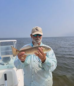 Redfish caught while fishing in Corpus Christi TX waters from boat