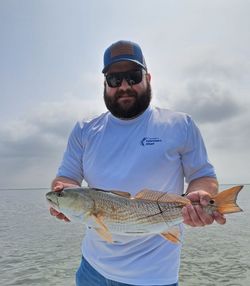 Redfish catch from Corpus Christi TX fishing trip